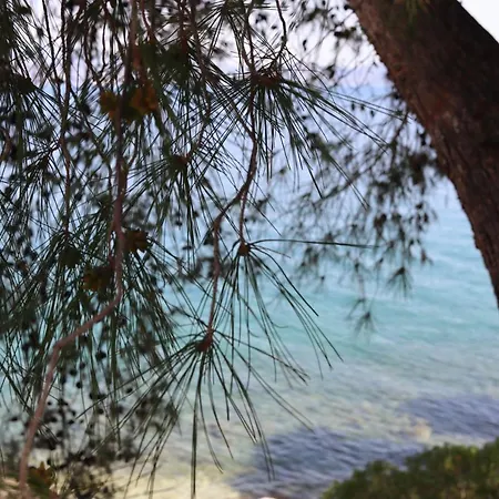 Anavalos Ξενοδοχείο με διαμερίσματα 5*